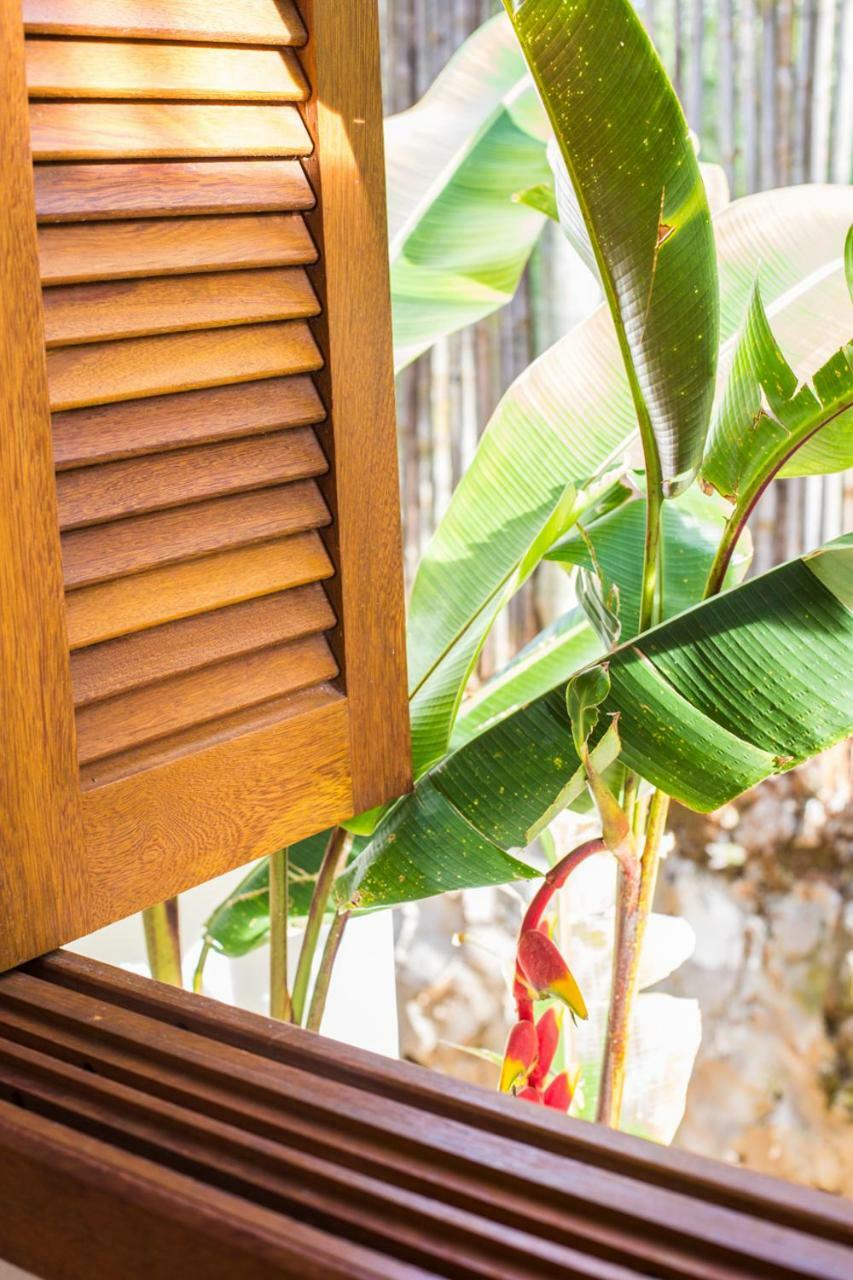 Vilarejo Guesthouse - Silencio E Aconchego Alto Paraiso de Goias Ngoại thất bức ảnh