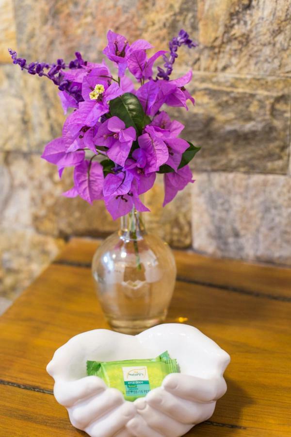 Vilarejo Guesthouse - Silencio E Aconchego Alto Paraiso de Goias Ngoại thất bức ảnh